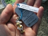 geocachingszaf