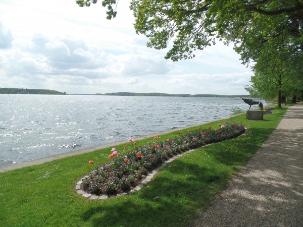 Müritz